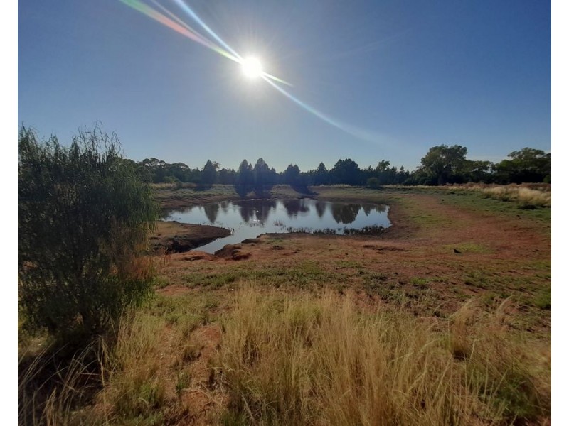 4384 The Bogan Way, Tottenham NSW 2873