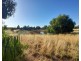 4384 The Bogan Way, Tottenham NSW 2873