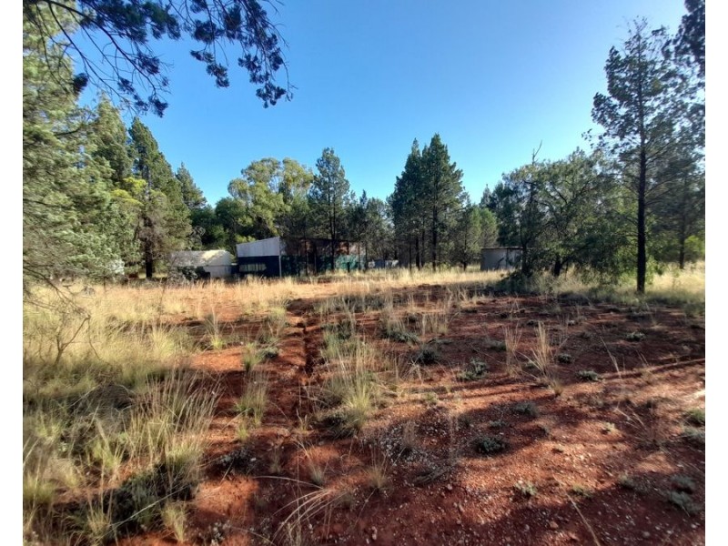 4384 The Bogan Way, Tottenham NSW 2873