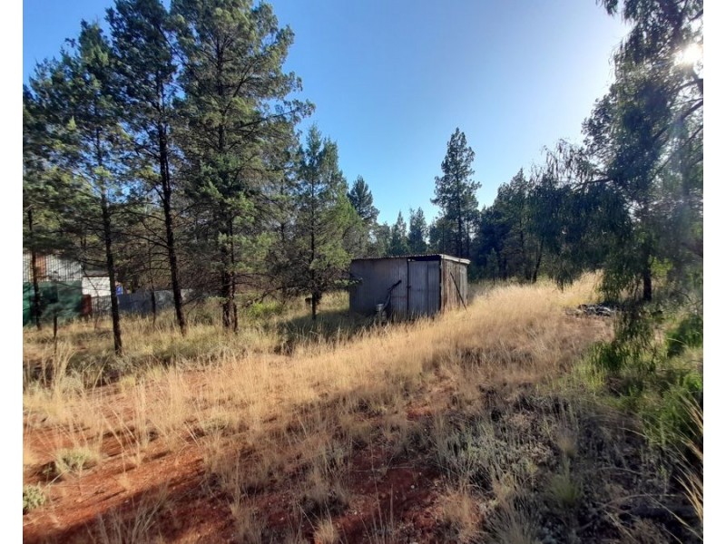 4384 The Bogan Way, Tottenham NSW 2873