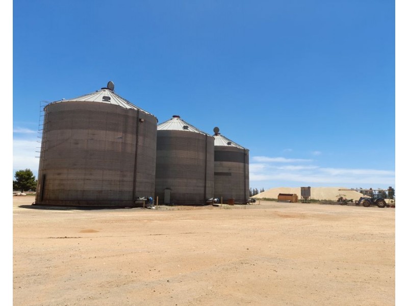 25 Tysons Road, Tabbita NSW 2652