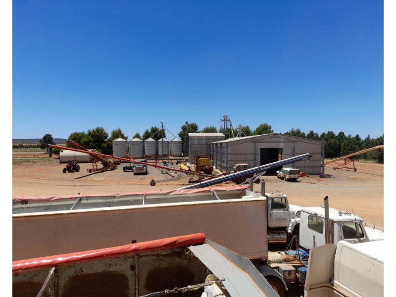 25 Tysons Road, Tabbita NSW 2652