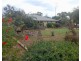 24 Umang St, Tottenham NSW 2873