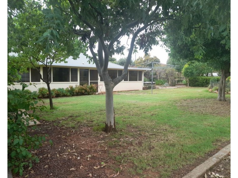 24 Umang St, Tottenham NSW 2873
