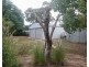 24 Umang St, Tottenham NSW 2873