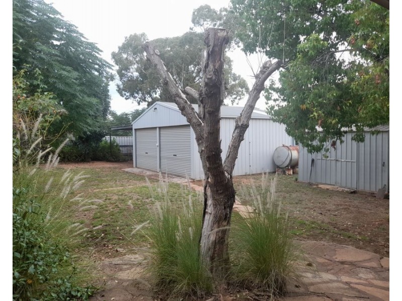 24 Umang St, Tottenham NSW 2873