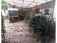 24 Umang St, Tottenham NSW 2873