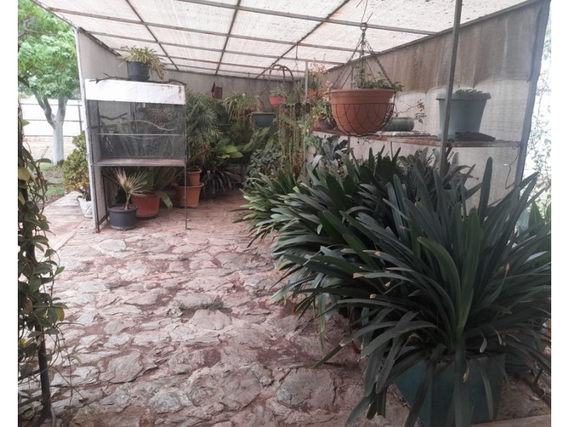 24 Umang St, Tottenham NSW 2873