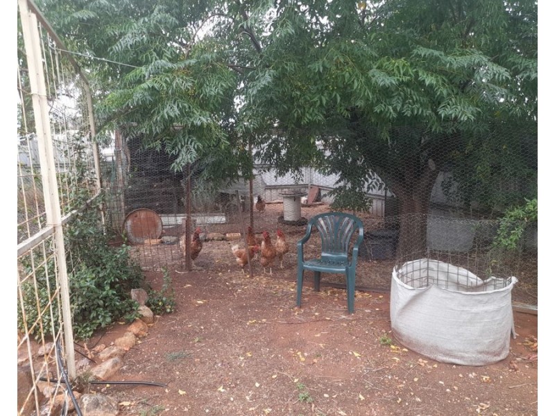 24 Umang St, Tottenham NSW 2873