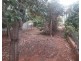 24 Umang St, Tottenham NSW 2873