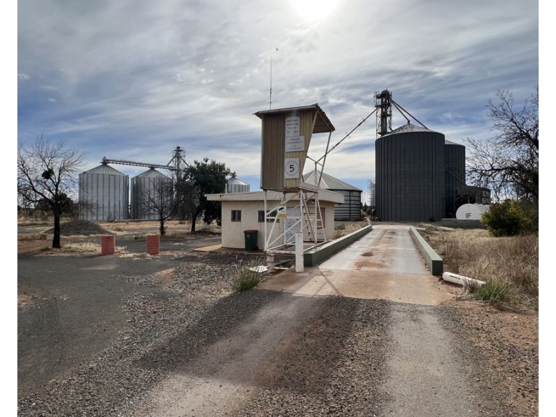 12 Loughnan St, Lake Cargelligo NSW 2672