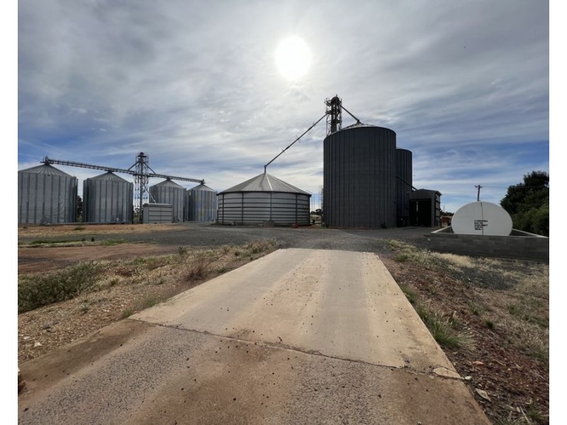 12 Loughnan St, Lake Cargelligo NSW 2672