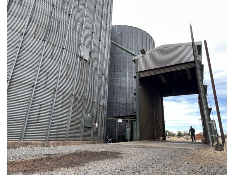 12 Loughnan St, Lake Cargelligo NSW 2672