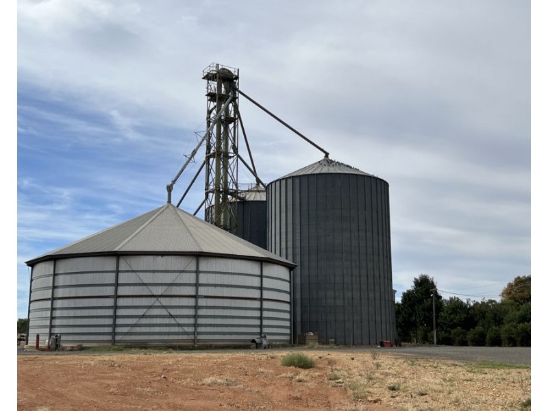 12 Loughnan St, Lake Cargelligo NSW 2672