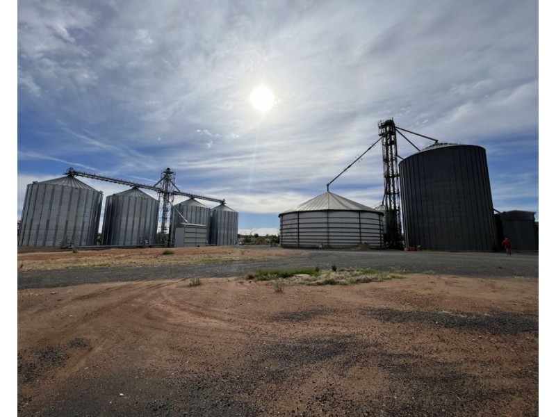 12 Loughnan St, Lake Cargelligo NSW 2672