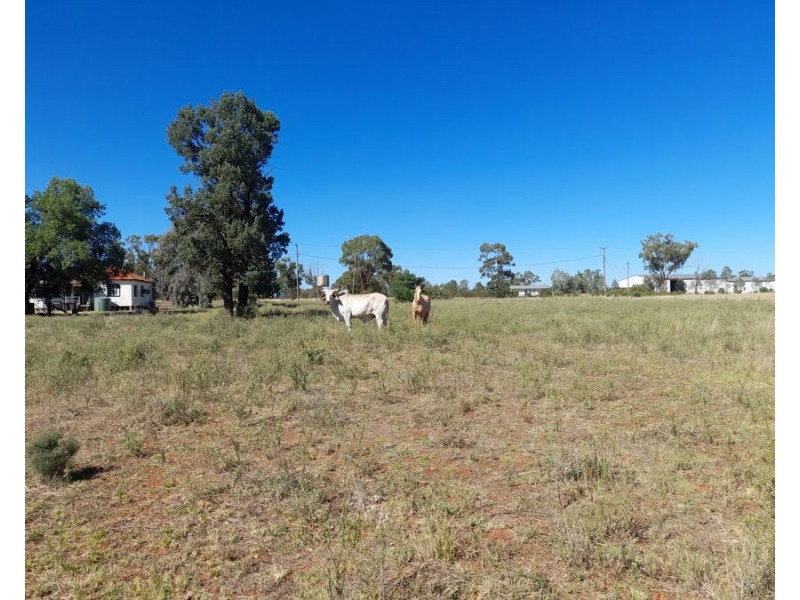 27 Hutchinsons Lane, Tottenham NSW 2873