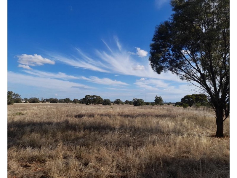 2-60 Mingelo St Tottenham NSW 2873, Tottenham NSW 2873