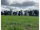 1515 / 1276 Clarres Lane / West Milby Road, Condobolin NSW 2877