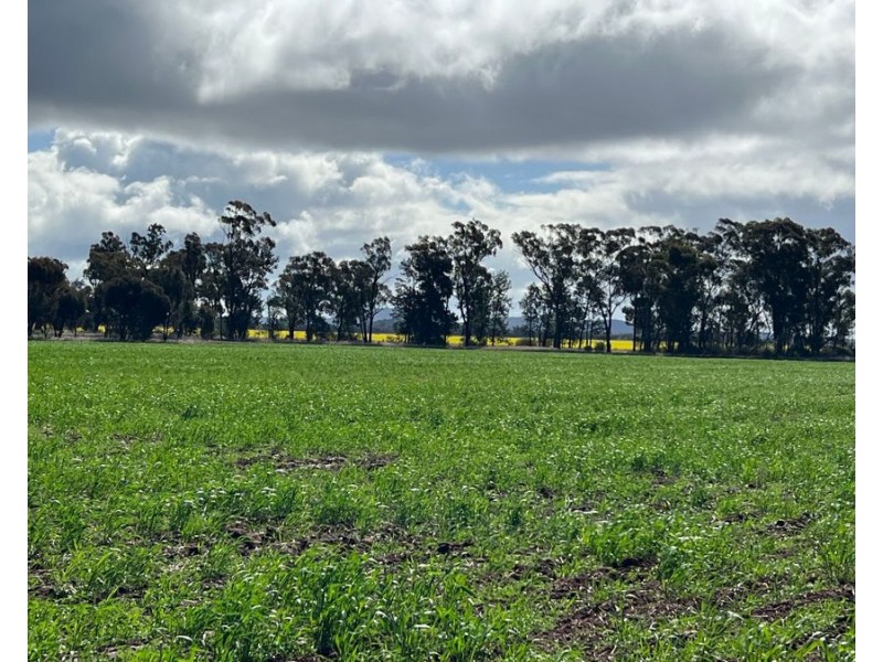 1515 / 1276 Clarres Lane / West Milby Road, Condobolin NSW 2877