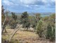 1515 / 1276 Clarres Lane / West Milby Road, Condobolin NSW 2877