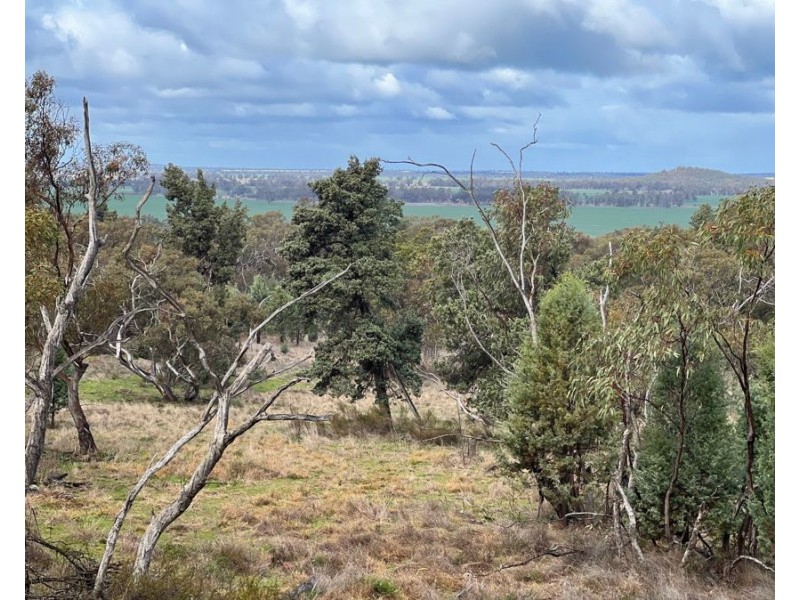 1515 / 1276 Clarres Lane / West Milby Road, Condobolin NSW 2877