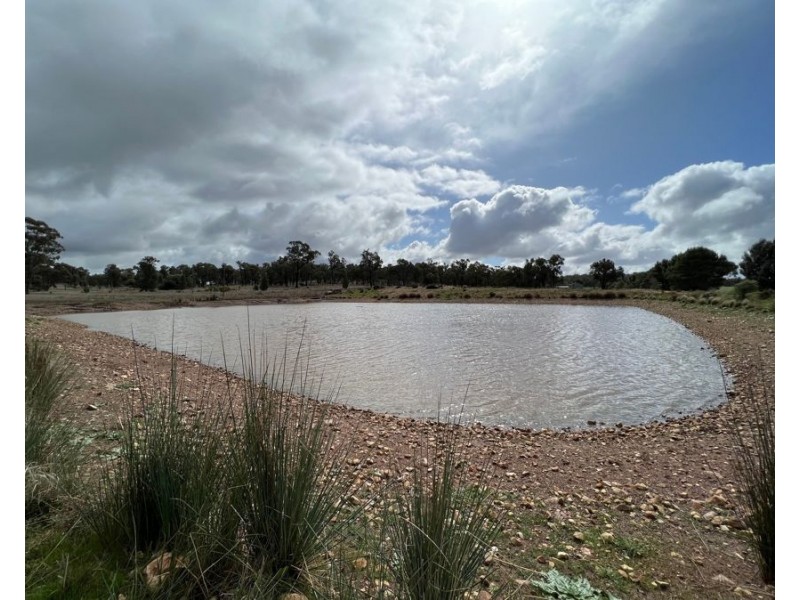 1515 / 1276 Clarres Lane / West Milby Road, Condobolin NSW 2877