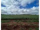 1515 / 1276 Clarres Lane / West Milby Road, Condobolin NSW 2877