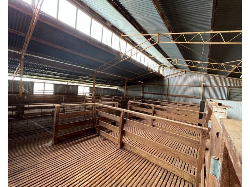 1515 / 1276 Clarres Lane / West Milby Road, Condobolin NSW 2877