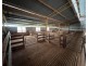 1515 / 1276 Clarres Lane / West Milby Road, Condobolin NSW 2877