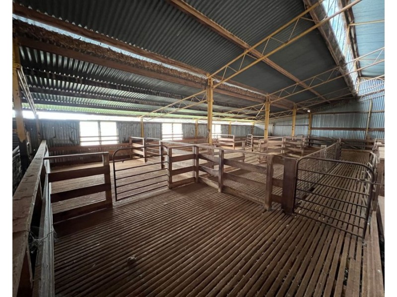 1515 / 1276 Clarres Lane / West Milby Road, Condobolin NSW 2877