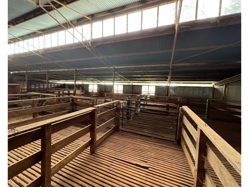 1515 / 1276 Clarres Lane / West Milby Road, Condobolin NSW 2877