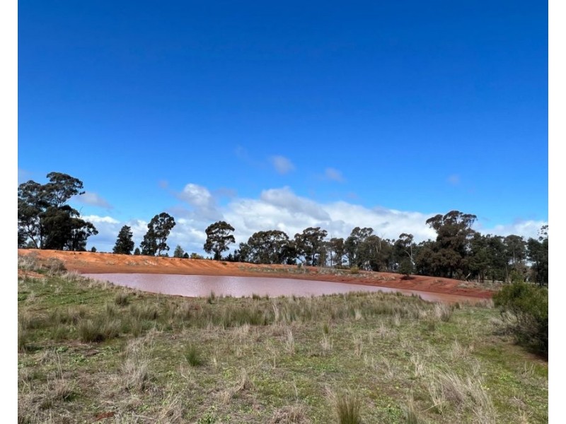 1515 / 1276 Clarres Lane / West Milby Road, Condobolin NSW 2877
