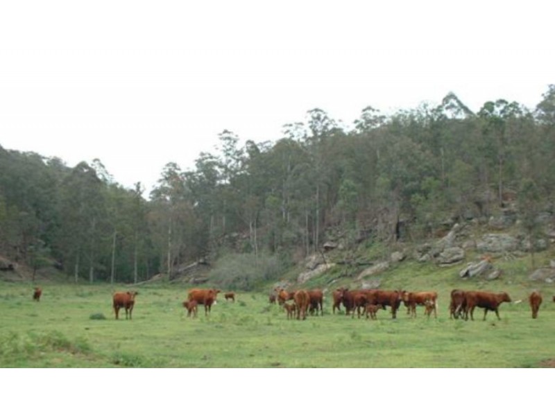 Putty NSW 2330