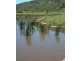 Putty NSW 2330