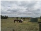 420 Forge Creek Rd, Bairnsdale VIC 3875