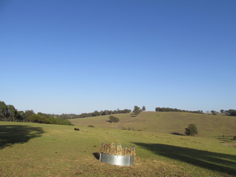 65 Williams Rd, Flaggy Creek VIC 3875