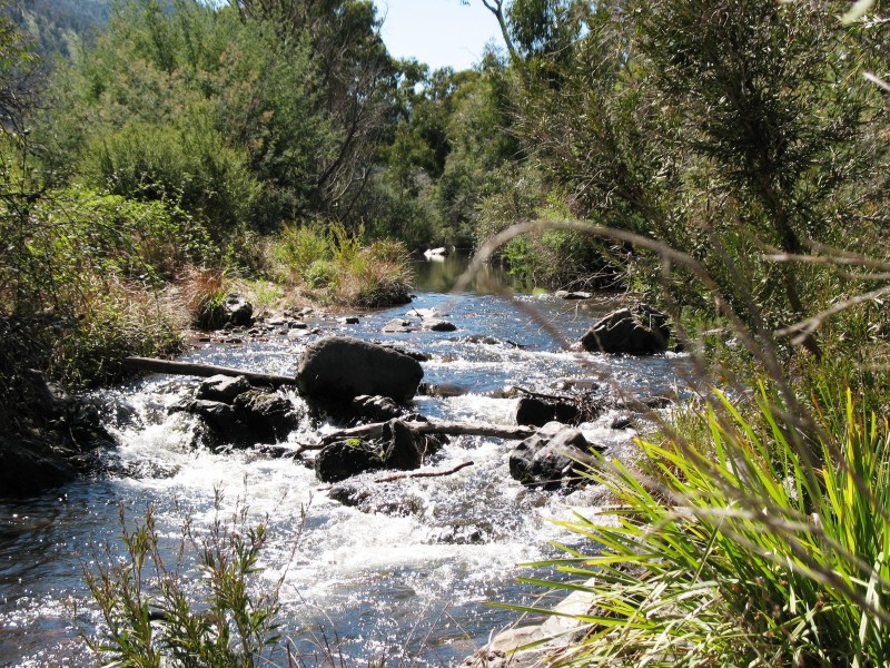 88 Old Bindi Rd, Bindi VIC 3896