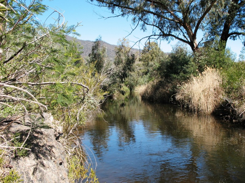 88 Old Bindi Rd, Bindi VIC 3896