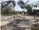 34 Twelfth Ave, Raymond Island VIC 3880
