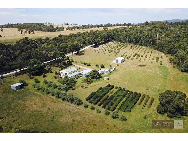 93 Quire Rd, Buchan South VIC 3885