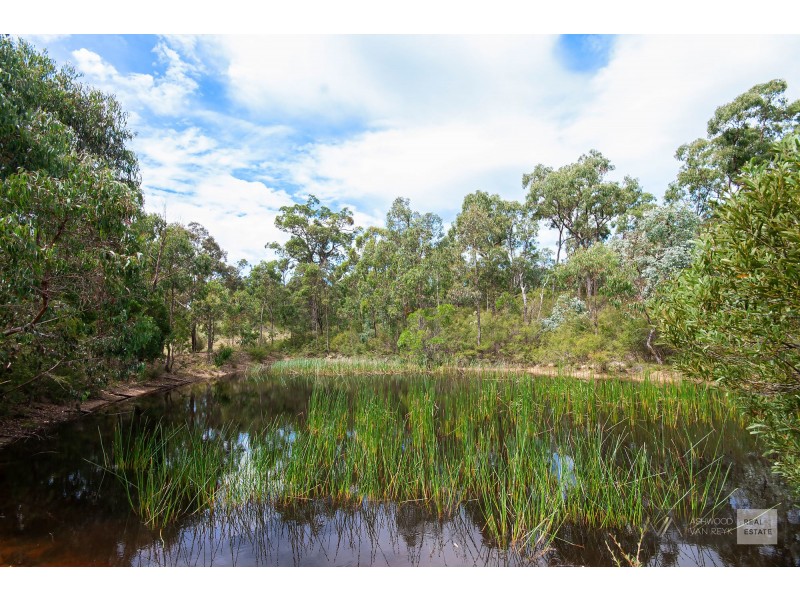 93 Quire Rd, Buchan South VIC 3885