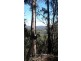 Lot  177 Vimy Ridge Road, Bega NSW 2550
