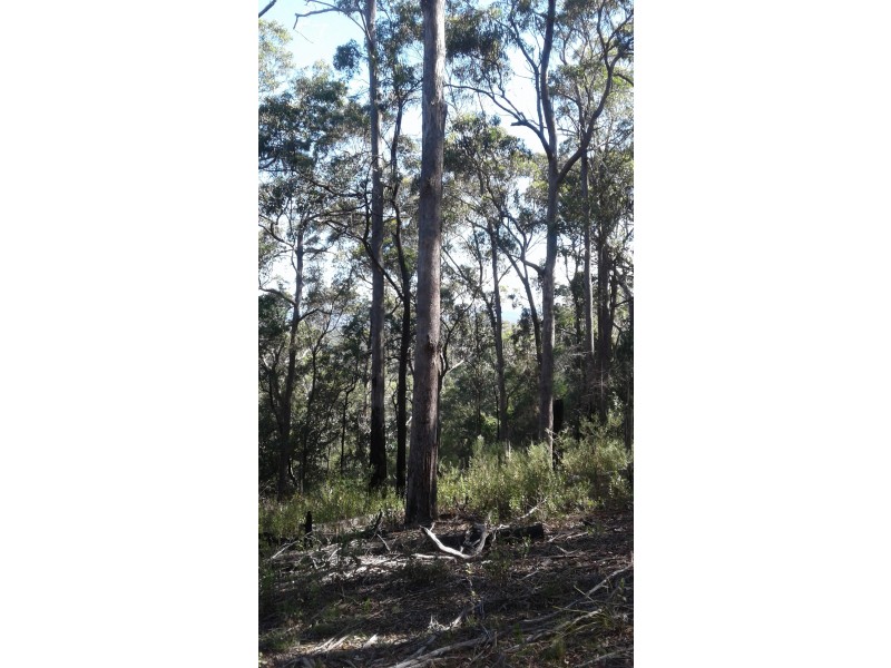 Lot  177 Vimy Ridge Road, Bega NSW 2550