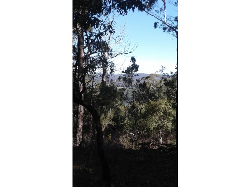 Lot  177 Vimy Ridge Road, Bega NSW 2550