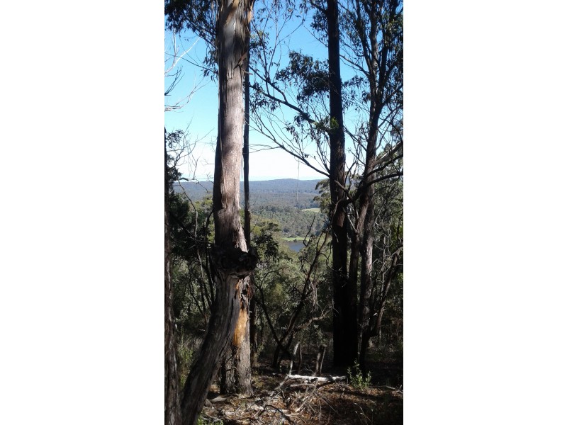 Lot  177 Vimy Ridge Road, Bega NSW 2550