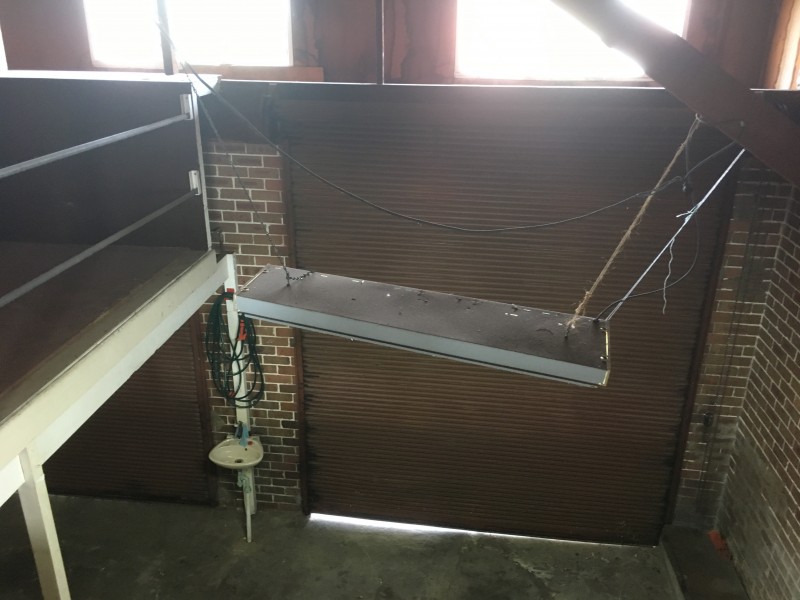 Rear/33 Crimea Street, Parramatta NSW 2150