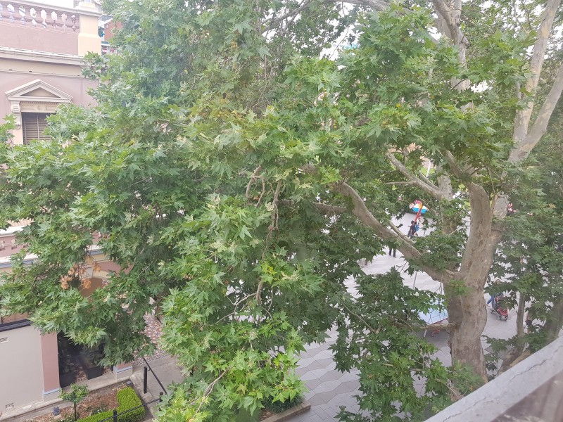 186-190  Church Street, Parramatta NSW 2150