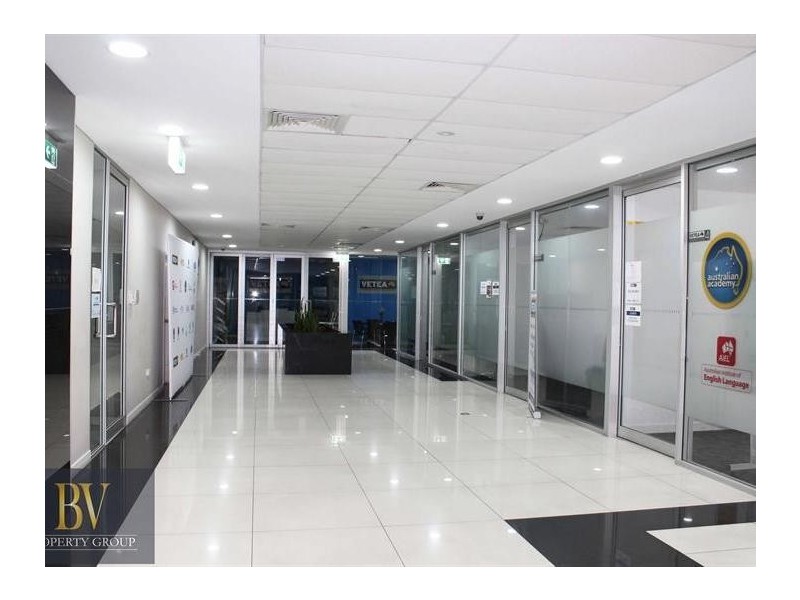 39 Queen Street, Auburn NSW 2144