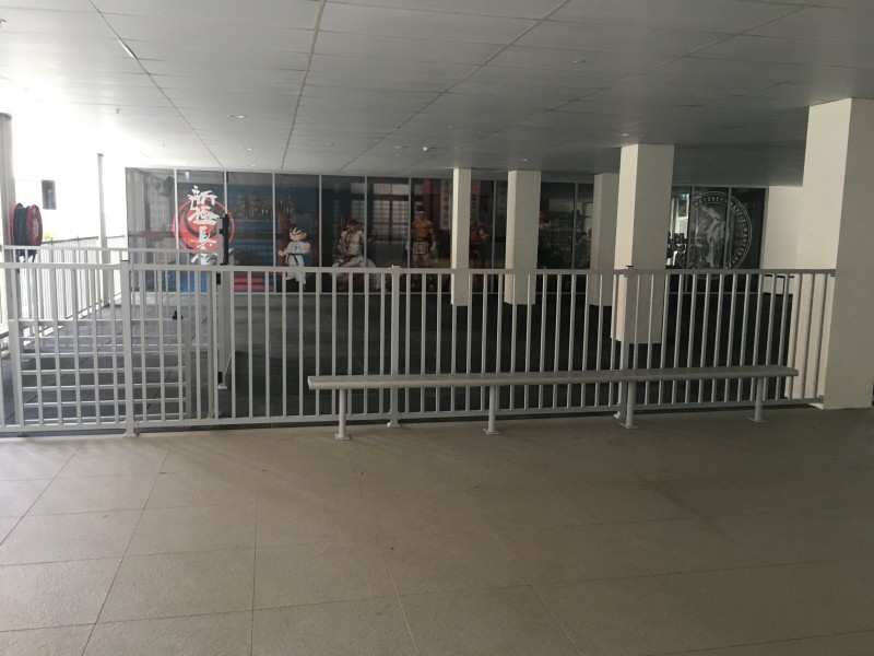 6 Park Road, Auburn NSW 2144