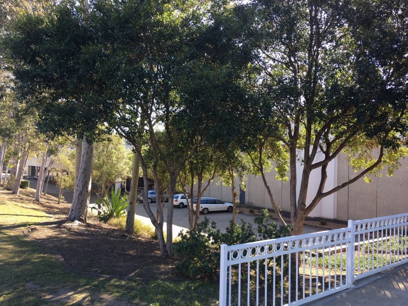 9 Rose Crescent, Auburn NSW 2144